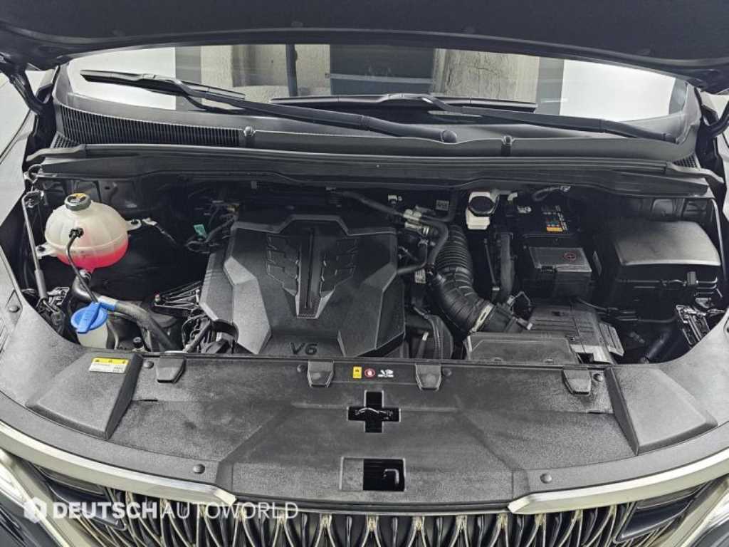 KIA Carnival - Vista 6