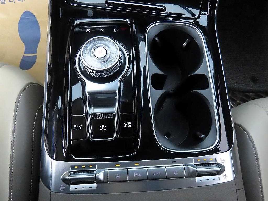 KIA Carnival - Vista 10