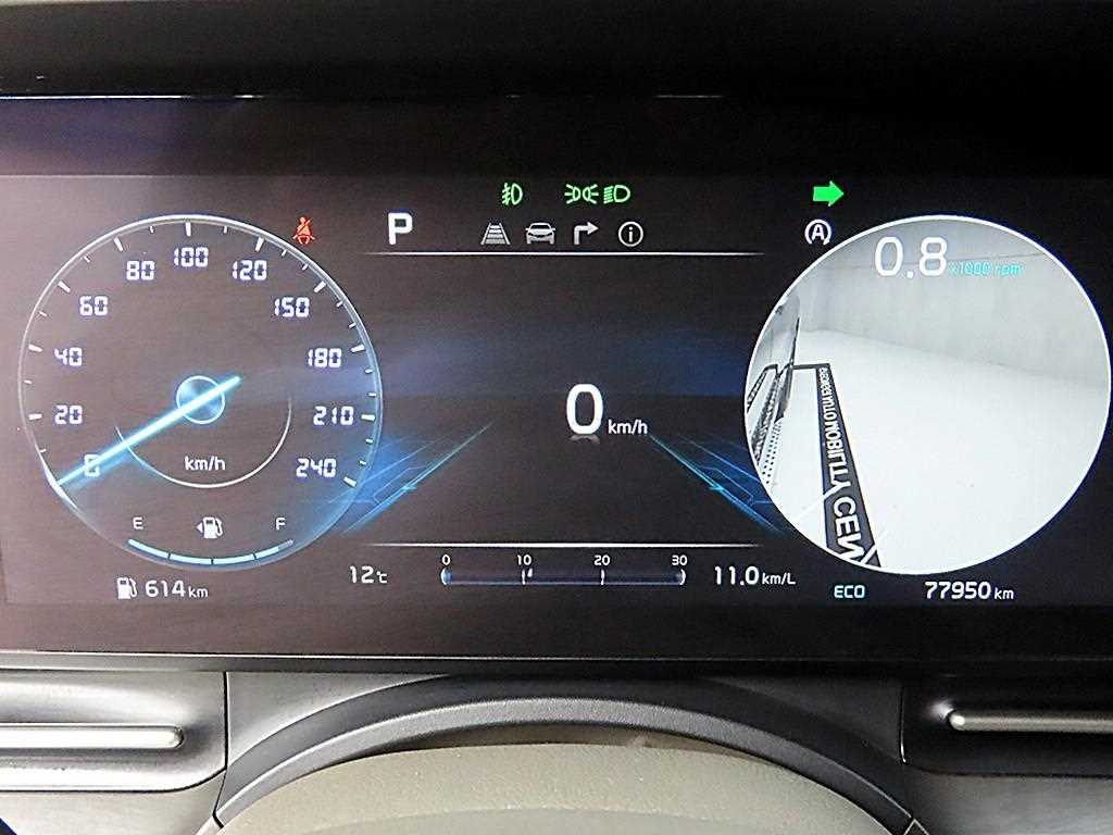 KIA Carnival - Vista 8