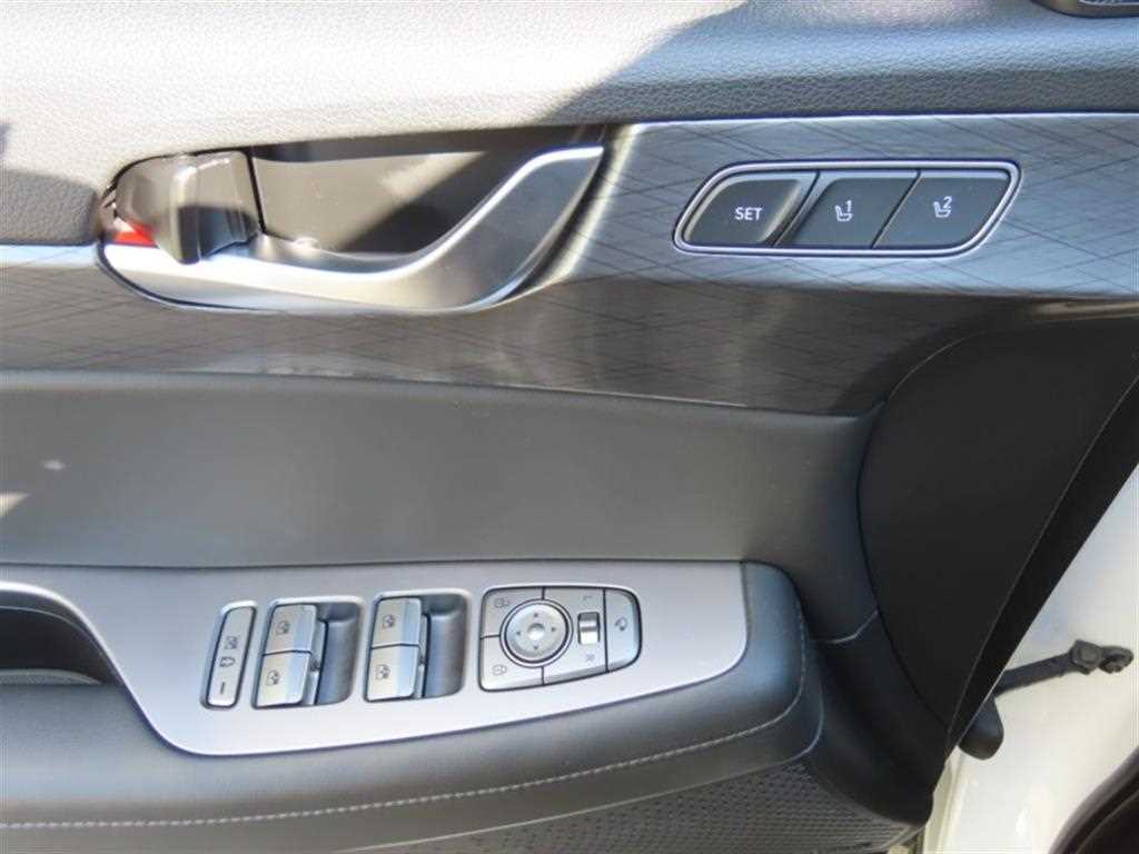 HYUNDAI Palisade - Vista 12