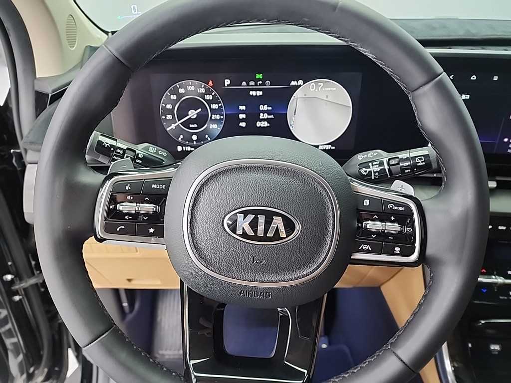 KIA Carnival - Vista 9