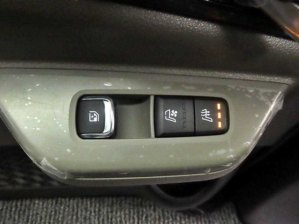 KIA Carnival - Vista 12