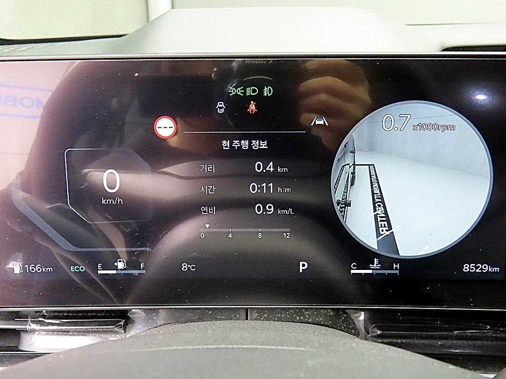 KIA Carnival - Vista 8