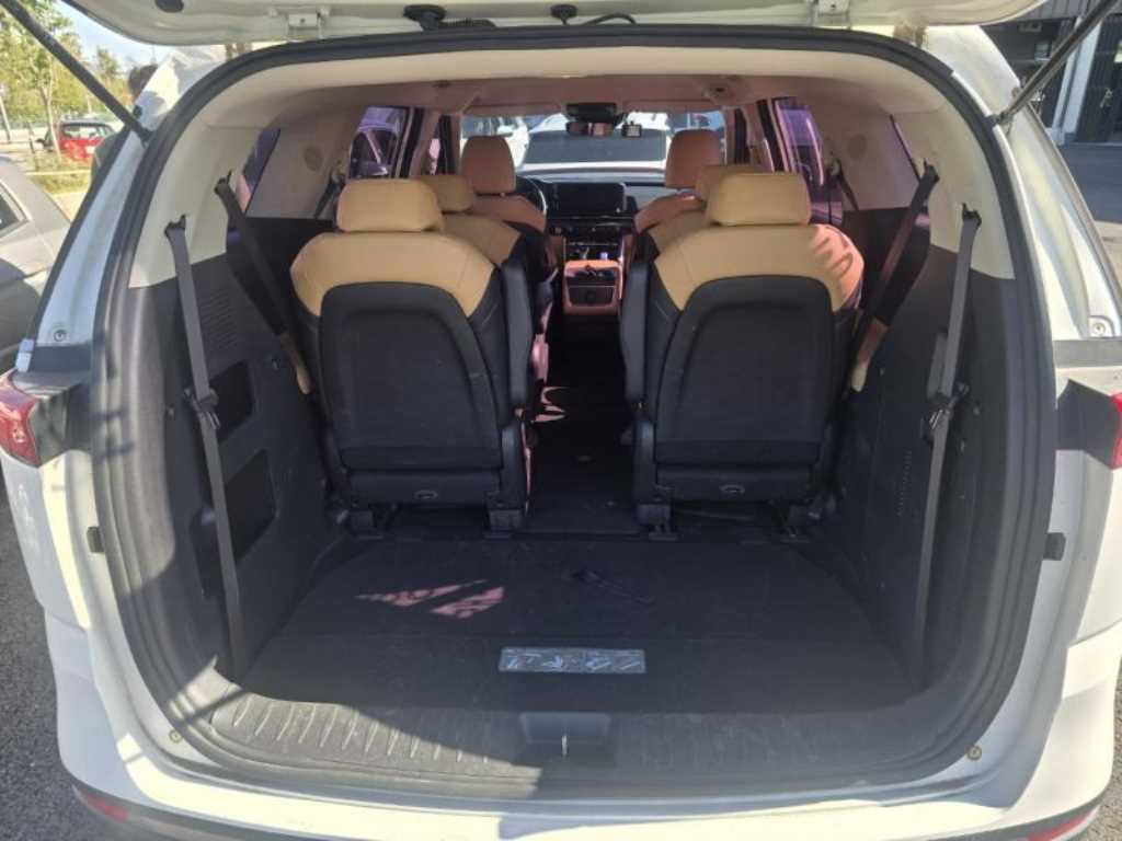 KIA Carnival - Vista 6