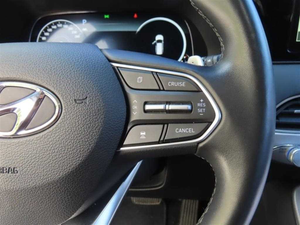 HYUNDAI Palisade - Vista 10