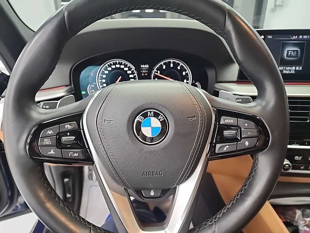 BMW 5 Series - Vista 9