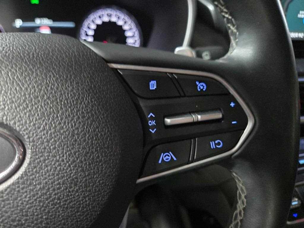 HYUNDAI Santa Fe - Vista 10