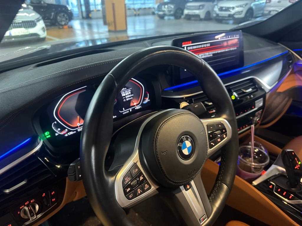 BMW 5 Series - Vista 9