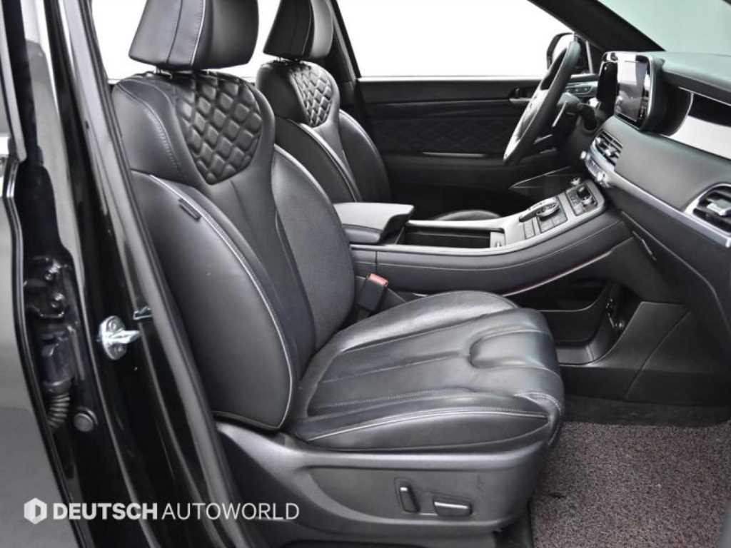 HYUNDAI Palisade - Vista 10