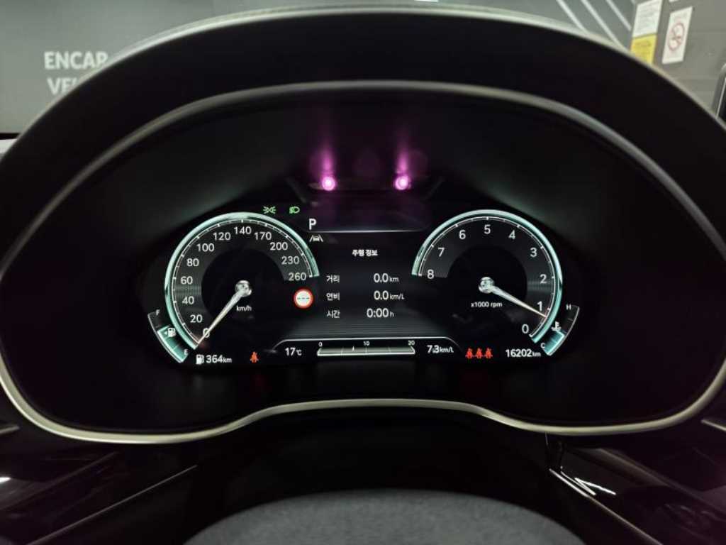 Genesis G80 - Vista 8