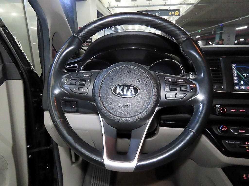 KIA Carnival - Vista 9