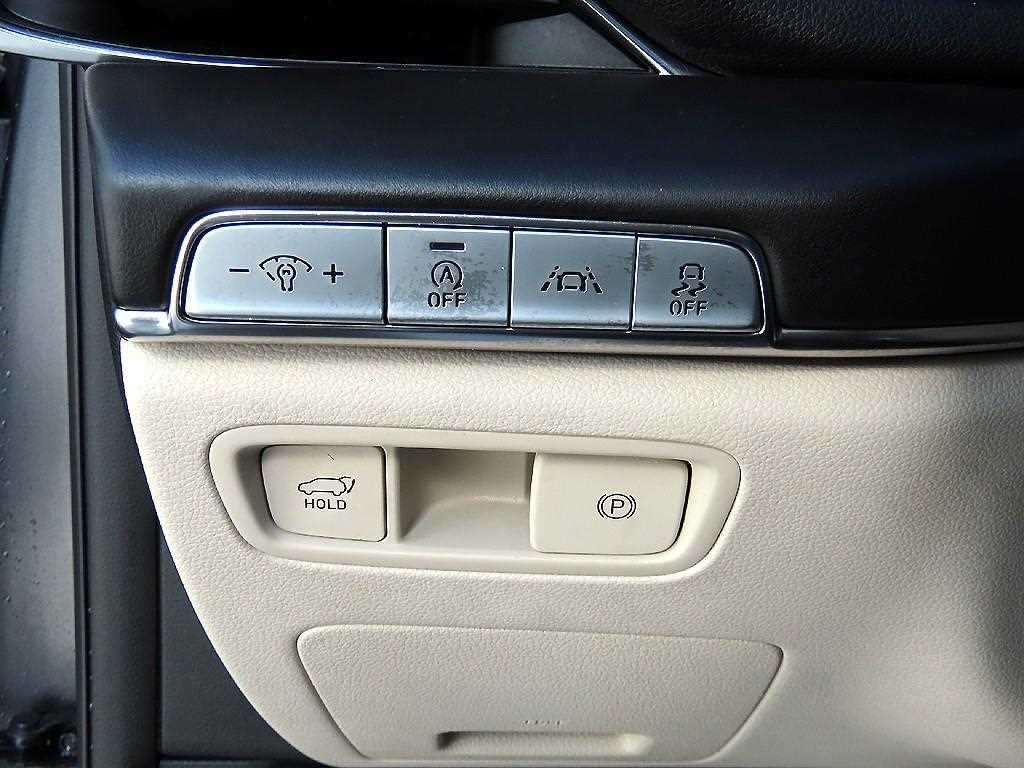 Genesis GV80 - Vista 12