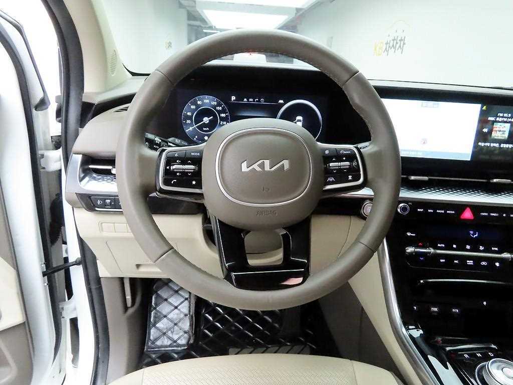 KIA Carnival - Vista 8