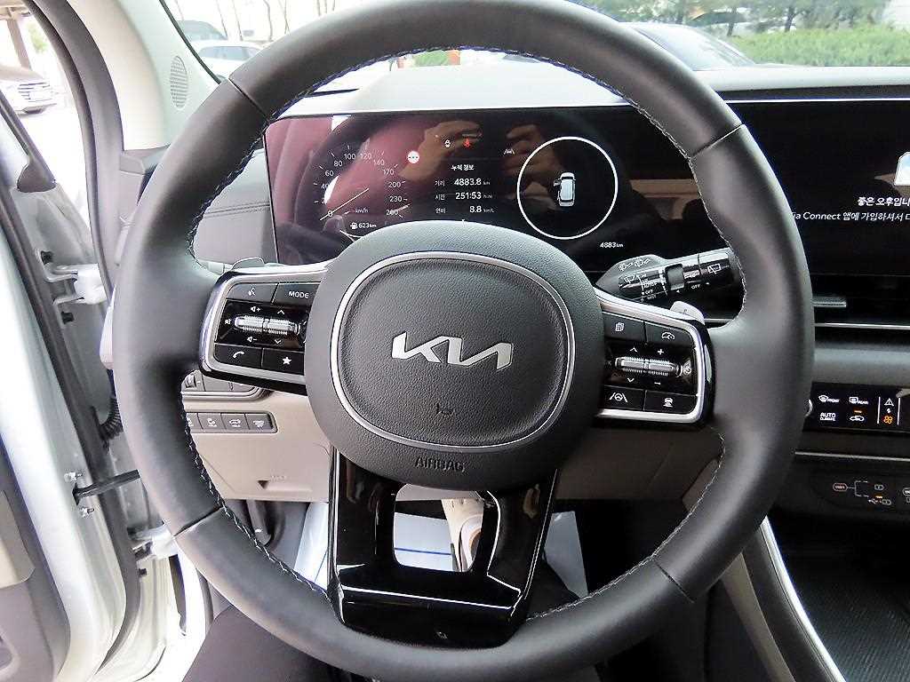 KIA Carnival - Vista 9