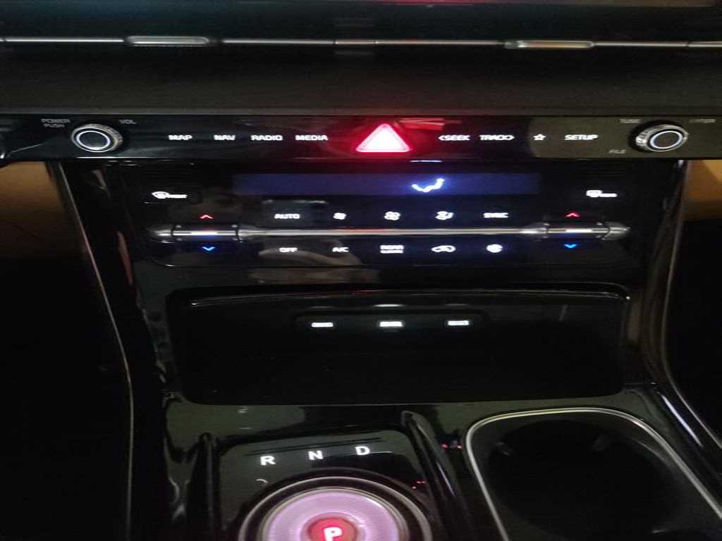 KIA Carnival - Vista 5