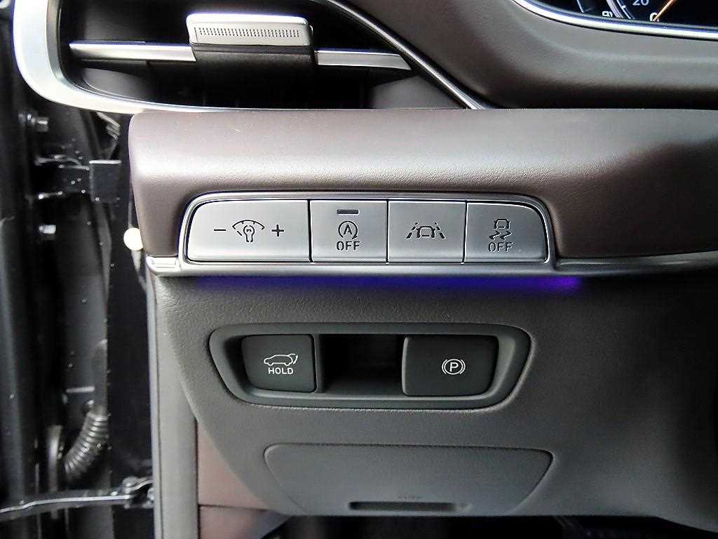 Genesis GV80 - Vista 12