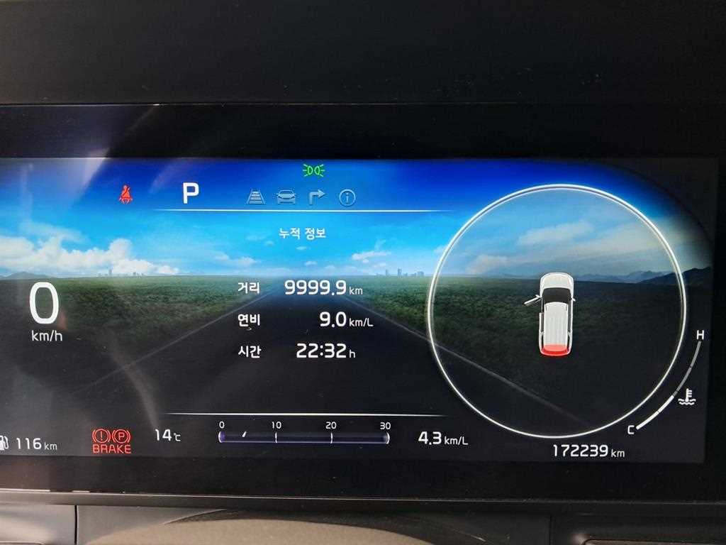 KIA Carnival - Vista 8