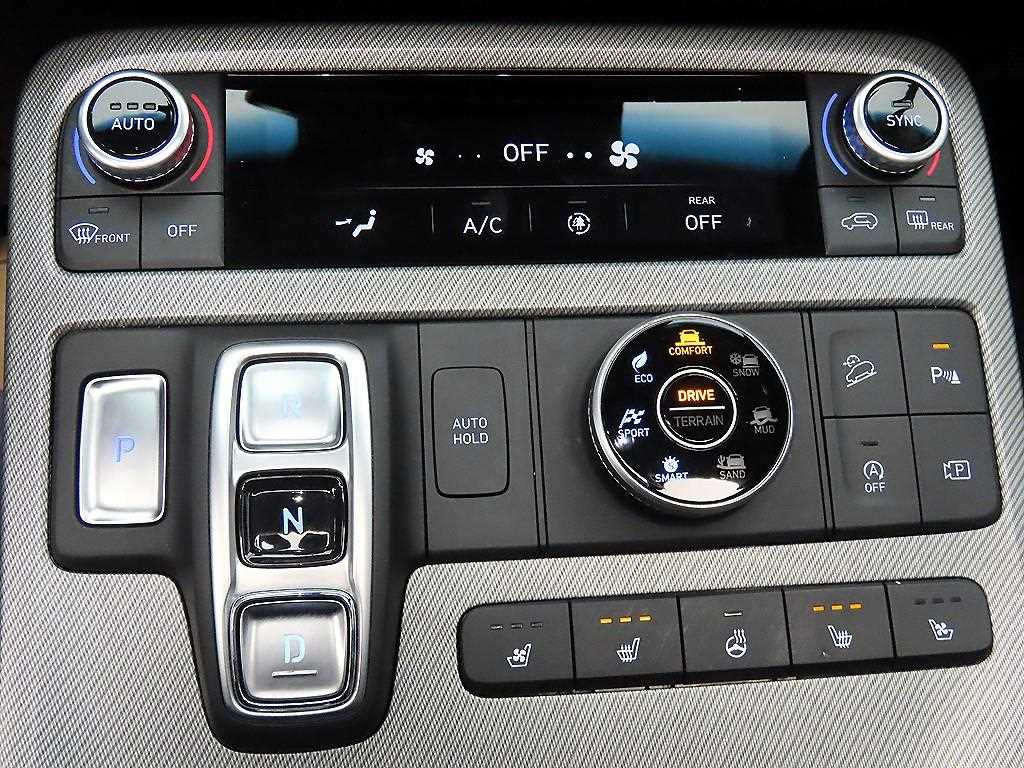 HYUNDAI Palisade - Vista 10