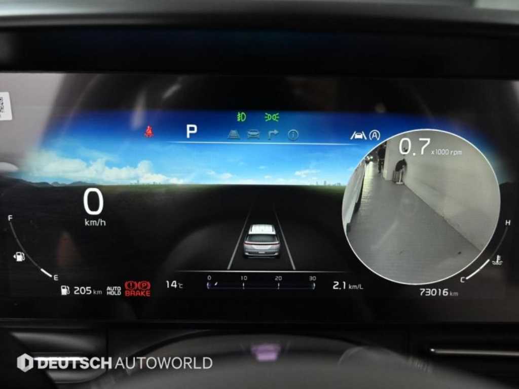 KIA Carnival - Vista 8