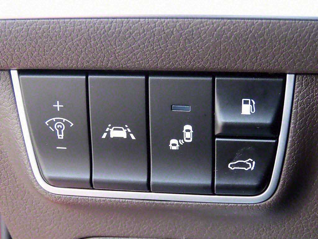 KIA Stinger - Vista 12