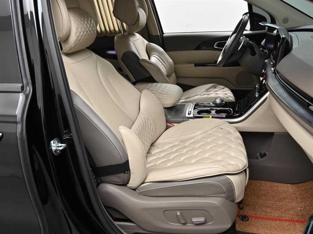 KIA Carnival - Vista 10