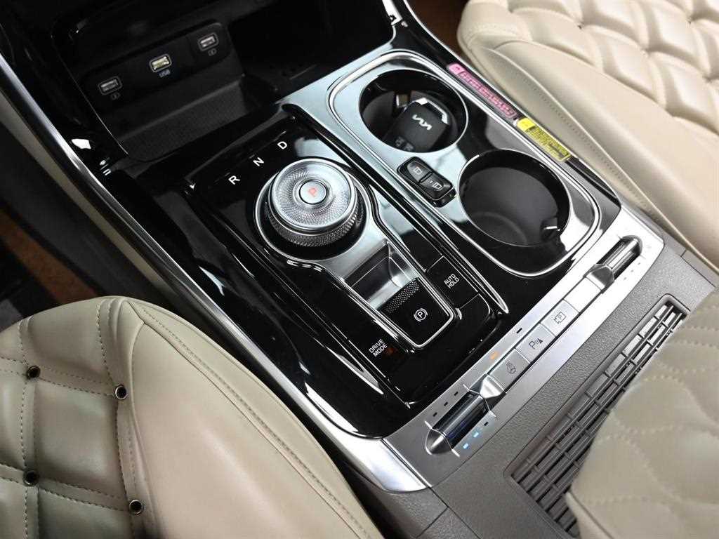 KIA Carnival - Vista 9