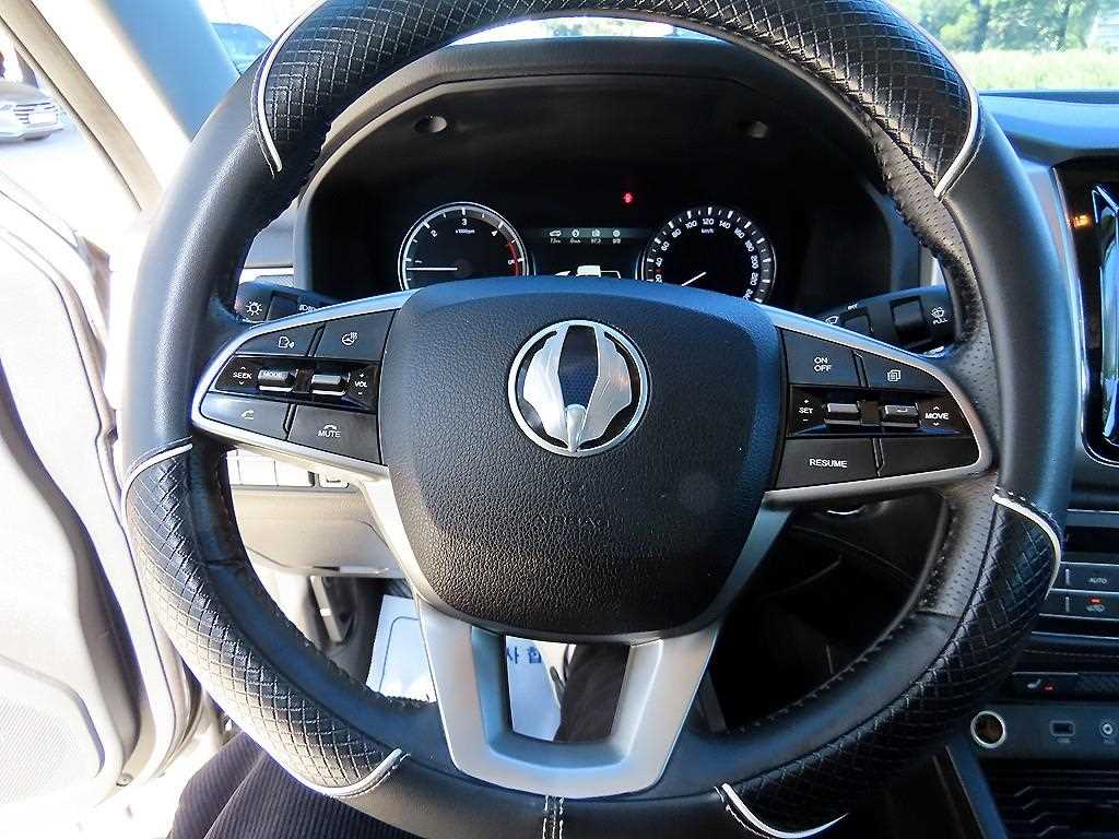 Ssangyong Rexton - Vista 8