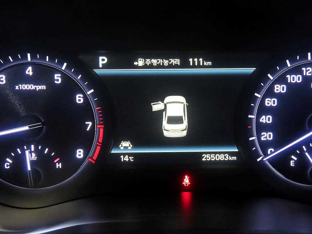 Genesis G80 - Vista 8