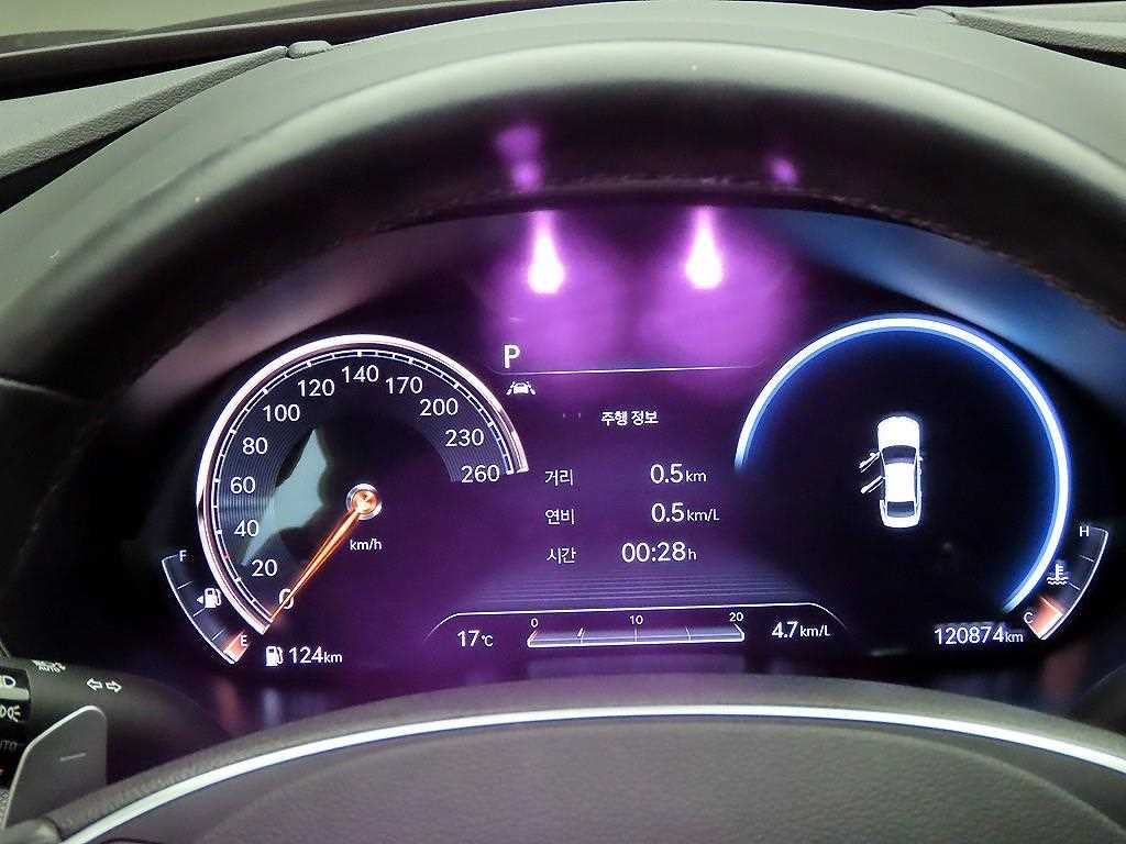 Genesis G80 - Vista 5