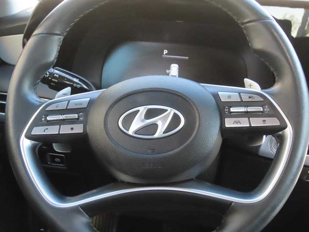 HYUNDAI Palisade - Vista 8