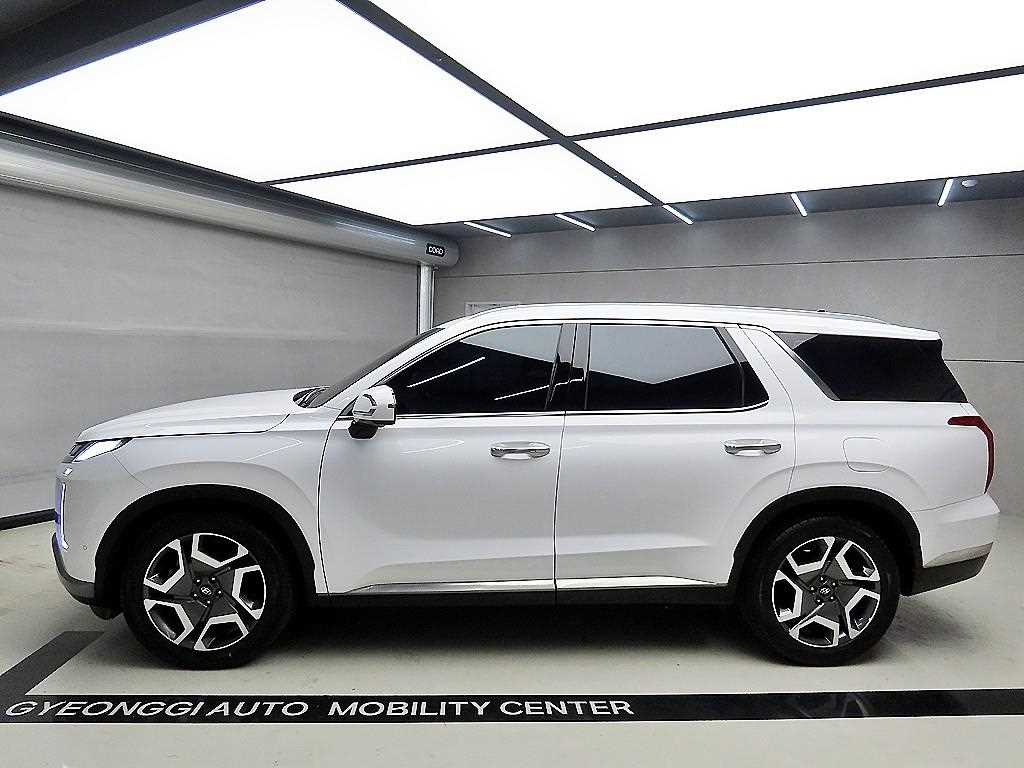 HYUNDAI Palisade - Vista 4