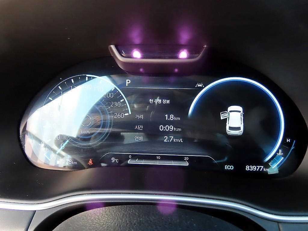 Genesis GV80 - Vista 9