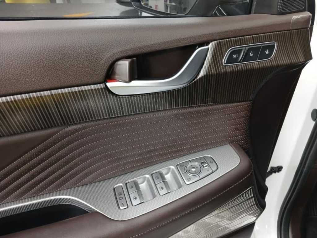 HYUNDAI Palisade - Vista 9