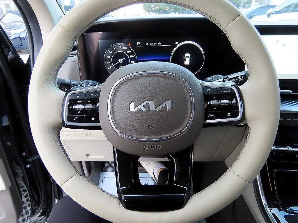 KIA Carnival - Vista 9