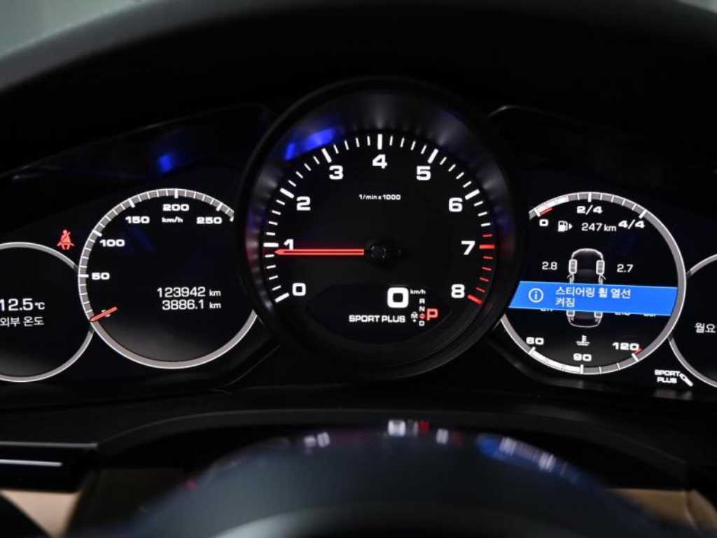 Porsche Cayenne - Vista 8