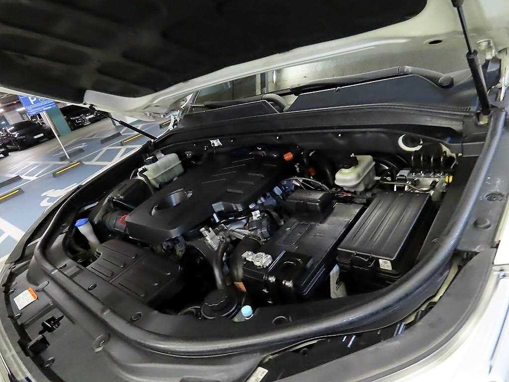 Ssangyong Rexton 2018 Blanco - Importación desde Corea - HF Imports Iquique - Foto 19