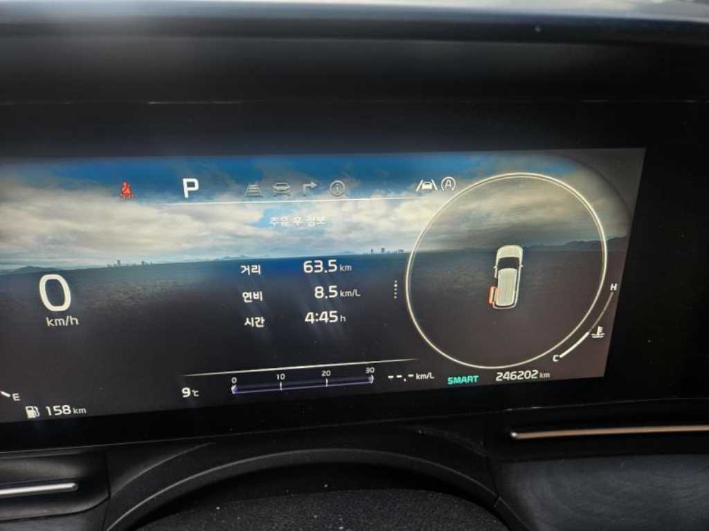 KIA Carnival - Vista 5