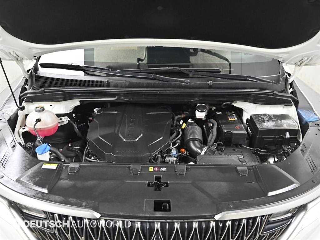 KIA Carnival - Vista 6