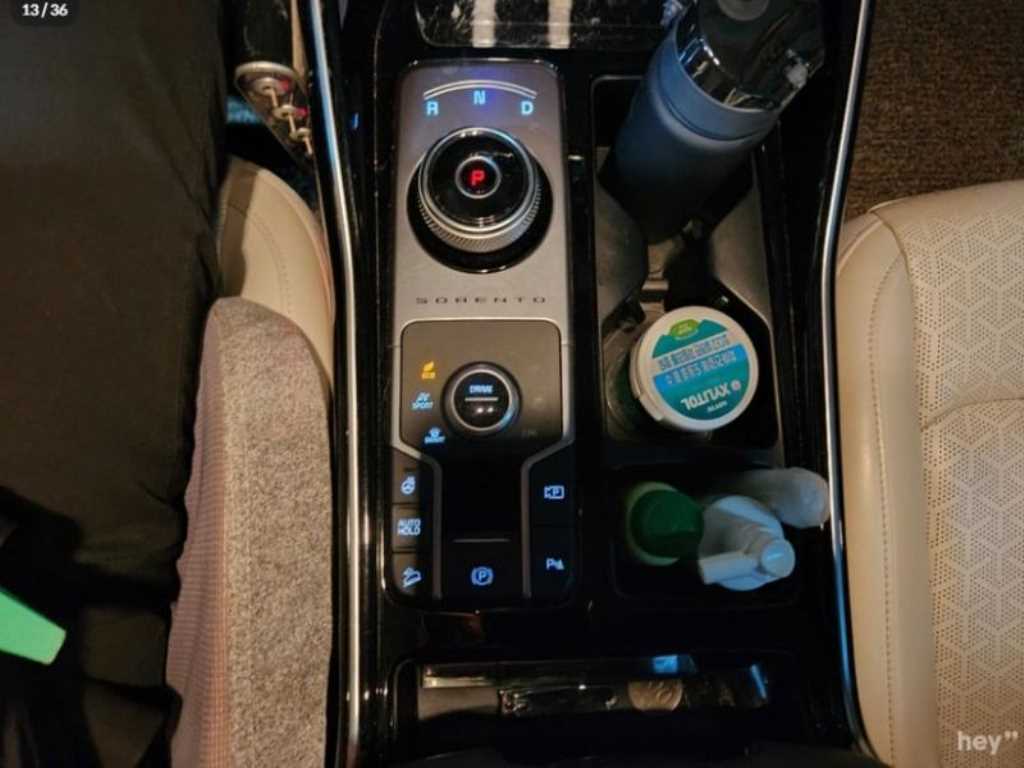 KIA Sorento - Vista 8