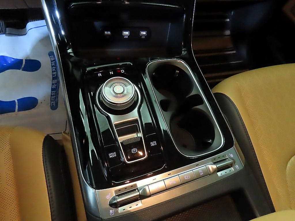 KIA Carnival - Vista 12
