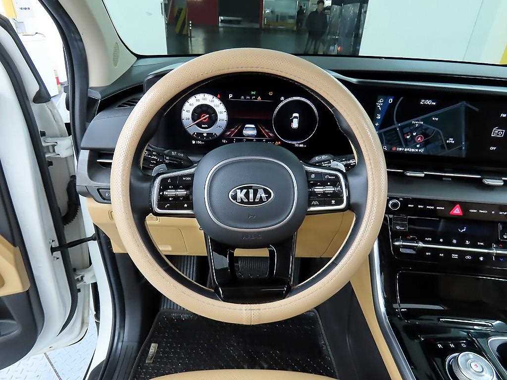 KIA Carnival - Vista 9