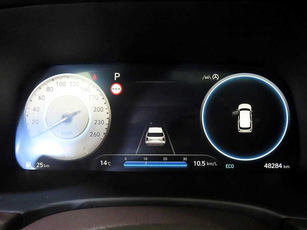 HYUNDAI Palisade - Vista 9