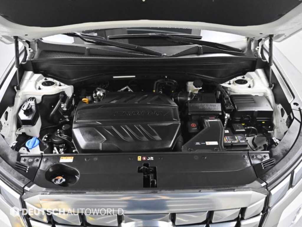 HYUNDAI Palisade - Vista 6