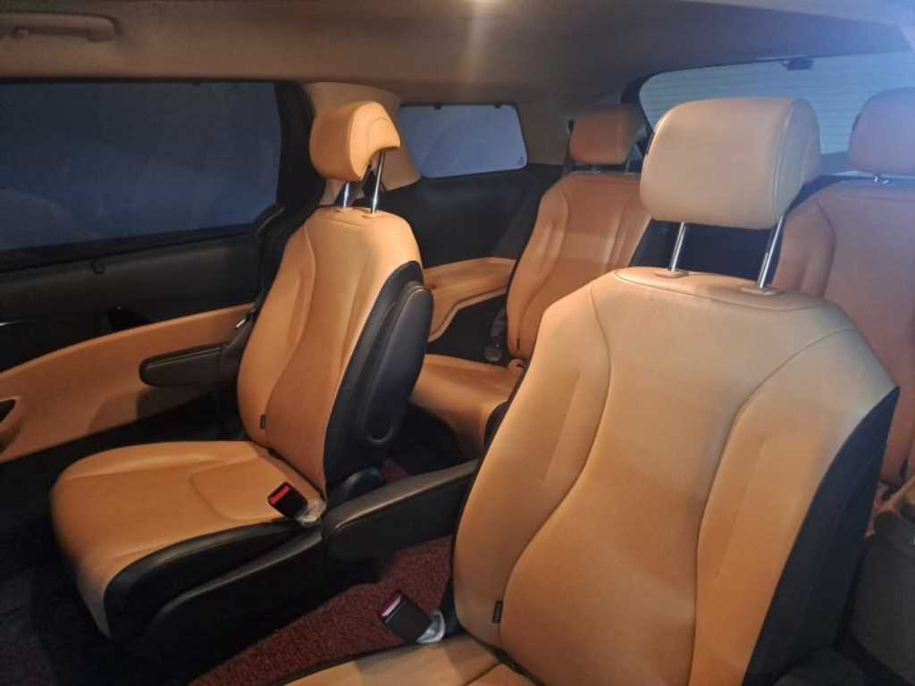 KIA Carnival - Vista 6