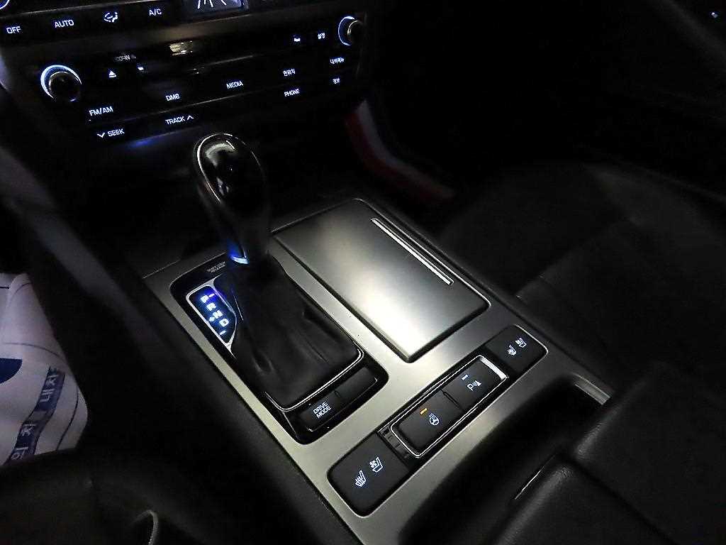 HYUNDAI Genesis - Vista 12