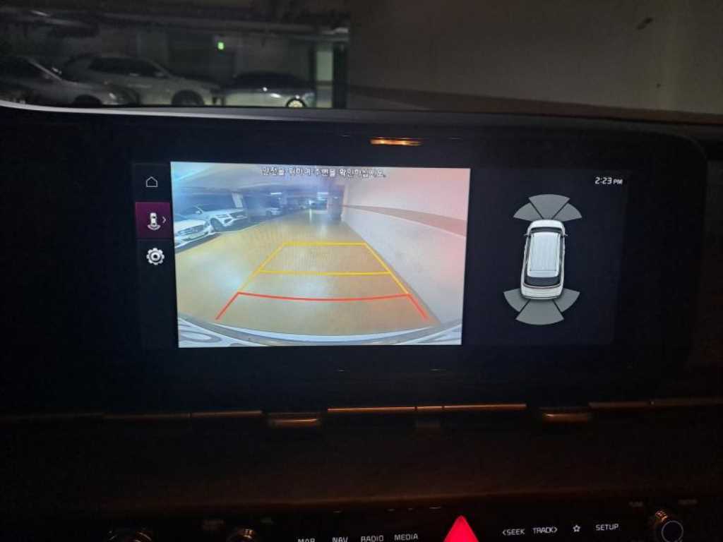 KIA Carnival - Vista 10