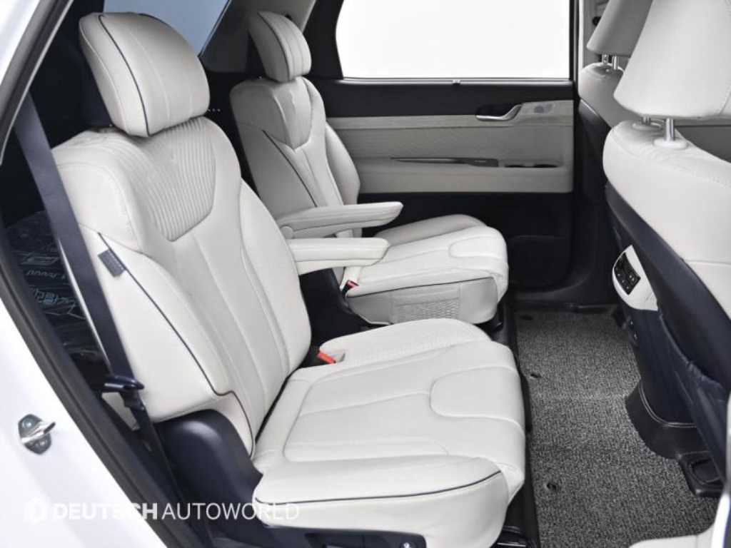 HYUNDAI Palisade - Vista 12