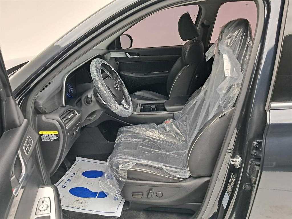 HYUNDAI Palisade - Vista 11