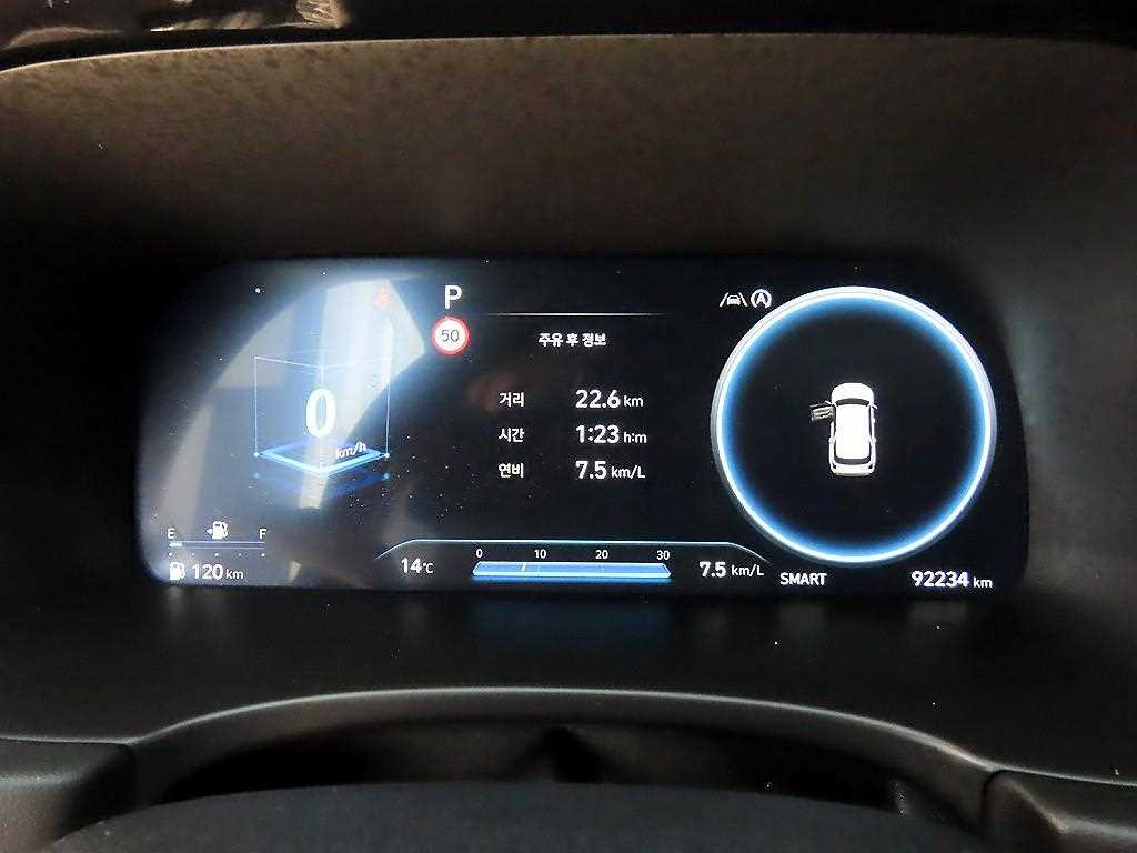 HYUNDAI Palisade - Vista 10