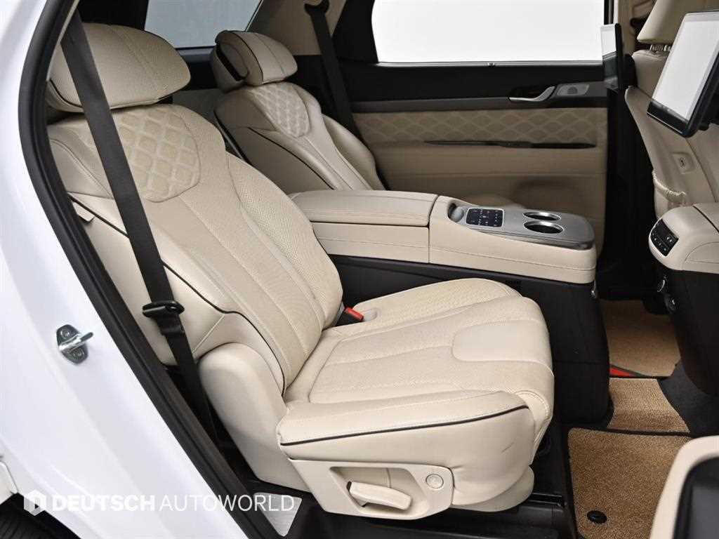 HYUNDAI Palisade - Vista 12